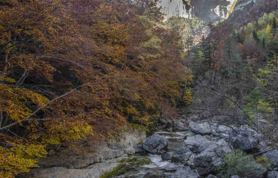 Huesca - parque nacional de Ordesa y Monte Perdido - valle de Ordesa 123 - rio Arazas.jpg